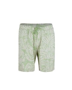 Ljusgrön Blommiga Frotté Shorts