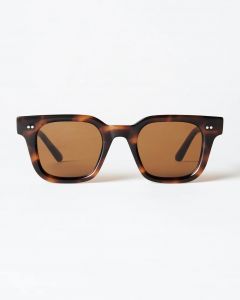 04 Tortoise